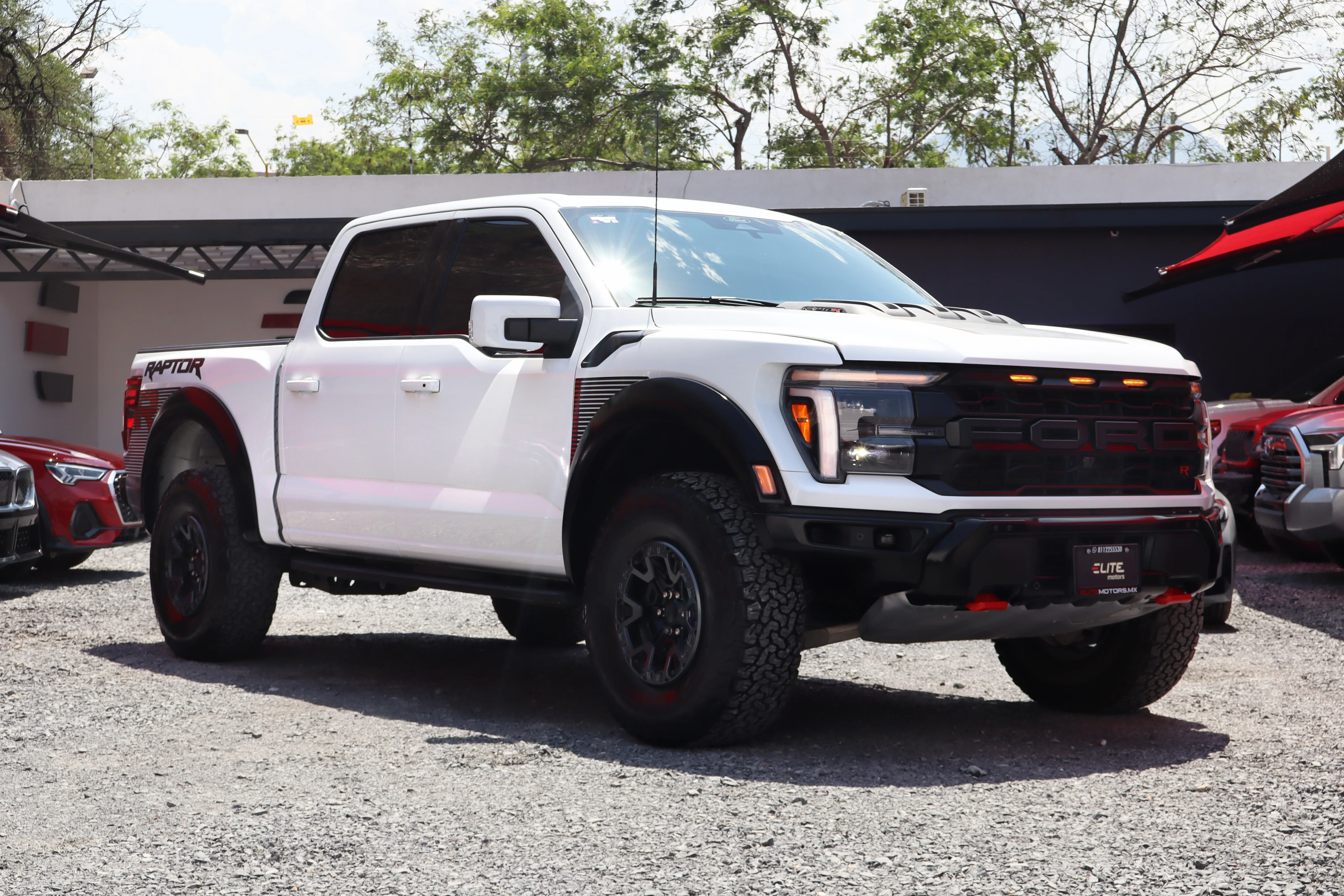 Lobo Raptor R