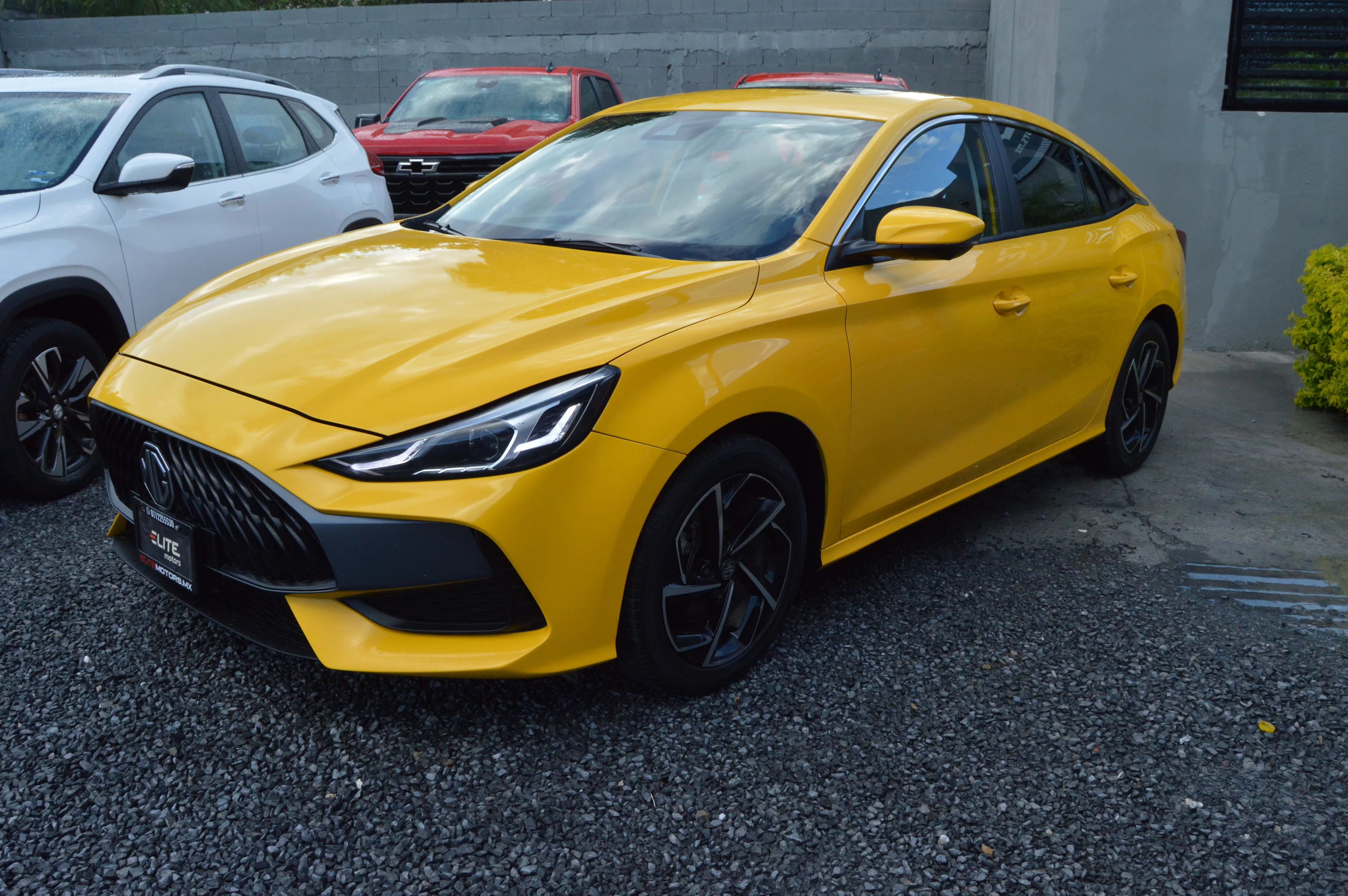 GT